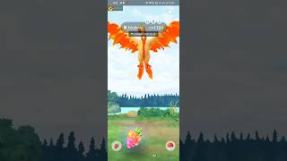 Getting lucky with galarian moltres ✨✨  galarianbirds pokemongo youtubeshorts galarianmoltres [upl. by Hannasus934]