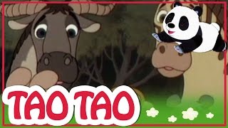 Tao Tao  episodi 2  Pikku kani iso leijona [upl. by Blum]