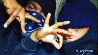 5 Biggest Crip Gangs In Los Angeles [upl. by Stochmal]