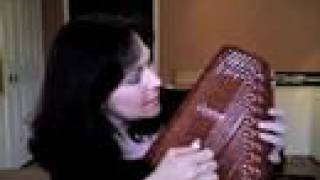 Autoharp Avenue  Chromatic vs Diatonic [upl. by Eilerua374]