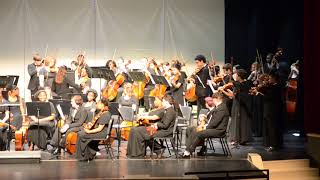 NWSA Chamber Orchestra  At the Purchasers Option 5182018 [upl. by Milzie]