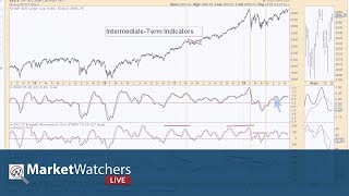 MWL Welcome Back  International ETF’s 082018 [upl. by Selohcin]