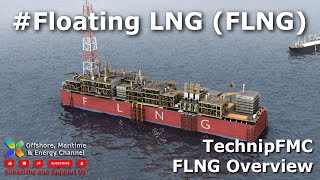 FLNG  An Overview Technip Brief [upl. by Collyer427]