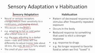 Sensory Adaptation v Habituation [upl. by Osrick]