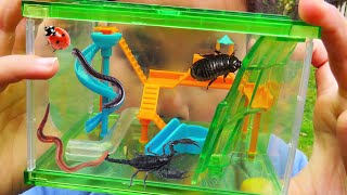 Bug Playground  For Real Bugs  Bug Hunt For Kids With Zoe and Daddy [upl. by Pandora21]