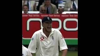 The Greatest Ever Cricket Sledge flintoff sledging sledge cricket mindthewindows funnysledge [upl. by Ahsielat]