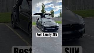 Why the Tesla Model X is the BEST Family SUV 😤 [upl. by Ahsiled253]