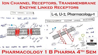 Ion channel receptors  transmembrane enzyme linked receptors  L6 U2  Pharmacology 4th Semester [upl. by Annaeerb]