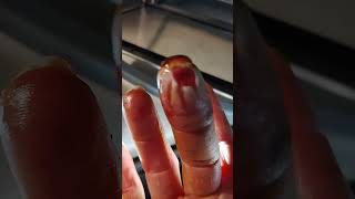 PSA CLEANING TOASTER OVEN CAUTION 😳 GROSS BE CAREFUL viralvideo viralshorts cleaning injury [upl. by Hanah608]