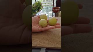 Amla masaledar amp Amla benefits shorts amla gooseberry [upl. by Kalfas]