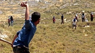 Jewish settlers attack Palestinians in the West Bank [upl. by Llerrit]