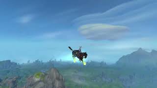 TWW Skyriding Animations [upl. by Ydneh]