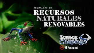 VOl5 INGENIERÍA EN RECURSOS NATURALES RENOVABLES UNIVERSIDAD AUTÓNOMA CHAPINGO [upl. by Korney]