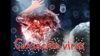 Coxsackie virus [upl. by Enyamrahs]