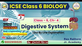 Class 6 ICSE Biology Chapter 4  Digestive System Class 6  Selina Book Explanation [upl. by Ansilme]