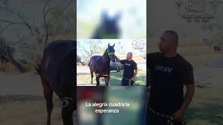 La alegría 🐎🔥🔥🔥🔥🔥🔥 [upl. by Nahtanaj360]