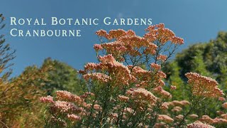 Explore the Royal Botanic Gardens Cranbourne [upl. by Rocray]