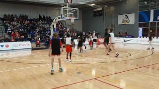 Colton Crowdis 2019 Basketball Highlights [upl. by Ynafit831]