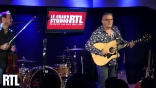 Sanseverino  Les embouteillages en live dans le Grand Studio RTL  RTL  RTL [upl. by Gaylor872]