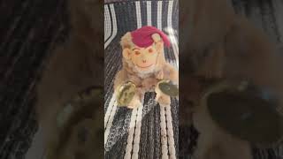 Windup Toy Monkey with Cymbals Max Carl West Germany Vintage WORKS [upl. by Anaizit]