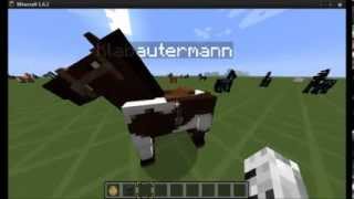 How to Pferde reiten bennen anbinden Minecraft [upl. by Acinod]