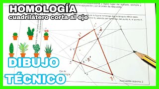 HOMOLOGÍA  EBAU Extremadura 2020 RECTÁNGULO homólogo que corta✂️ al eje✅ [upl. by Flip]