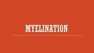 Myelination [upl. by Barlow]