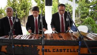 Tennis Club  Marimba del Castillo [upl. by Terag]