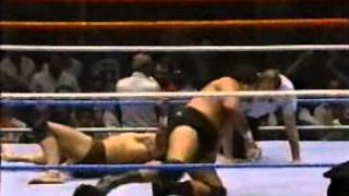 quotSuperflyquot Jimmy Snuka vs quotMagnificientquot Don MuracoIC Title [upl. by Elleirol]