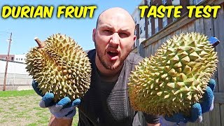 Durian Fruit Taste Test [upl. by Kornher]