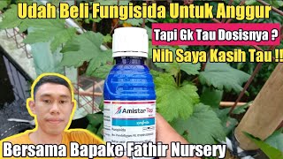 Dosis Penggunaan Fungisida Amistar Top Yang Top Markotop ❗❗ [upl. by Justus]