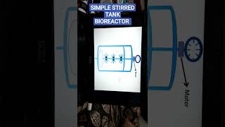 Simple Stirred tank bioreactor [upl. by Nwahsar]