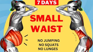 SMALL WAIST in 7 Days  40 MIN Standing Abs Workout  No Squat No Lunge No Jumping [upl. by Severin]