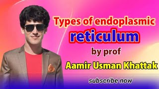 Types of endoplasmic reticulum class 11by Prof Aamir usman ktk [upl. by Cicenia]