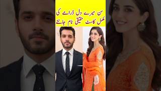 Sunn Mere Dil Fpisode 11 12  Sunn Mere Dil Drama Cast  Wahaj Ali  Maya Ali  sunnmeredildrama [upl. by Bakemeier]