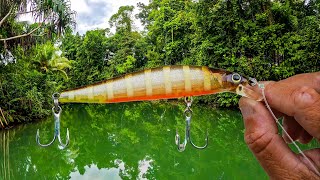 Exploring PNG’s UNTAMED Wilderness  Baia Lodge Day 2 [upl. by Uzial]