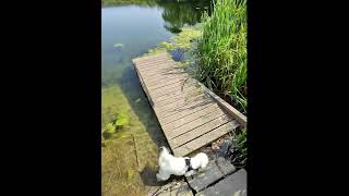 Weston Turville Reservoir [upl. by Land]