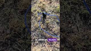 Rescate de un dron del tejado [upl. by Saoj]