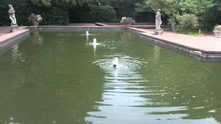 Video of Hopeland Gardens Aiken SC [upl. by Vanda]