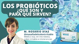 ¿Qué son los PROBIÓTICOS y para qué sirven 🦠💊 Médico especialista en microbiota M Rosario Díaz [upl. by Henry]