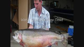 World Record Rainbow Trout 48Lbs [upl. by Ailecnarf302]