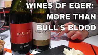 Hungarian Wine of Eger More than Bulls Blood [upl. by Lougheed]