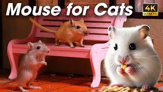 Endless Fun for Cats – Watch These Lively Mice in Action  Mouse For Cats To Watch [upl. by Cod]