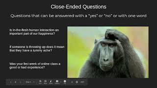 OpenEnded vs CloseEnded Questions [upl. by Leler]