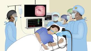 Endoscopy Technology Theory  Lesson 1  Endoscopy Team Work [upl. by Tocci732]