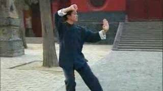 少林柔拳 Shaolin Rou Quan set 1 from Luohan 13 gong  PartB [upl. by Lear558]