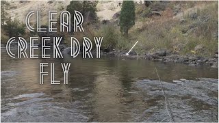 Clear Creek Fly Fishing  Scott Centric 4wt [upl. by Ruhtracm485]