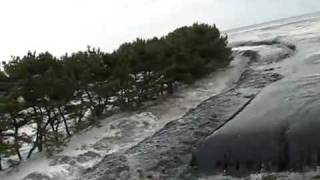 Japan Tsunami 2011  One Brave Soul [upl. by Laurena977]