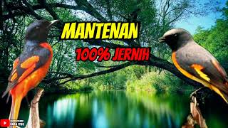 MASTERAN MANTENAN [upl. by Lansing]