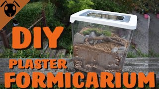 How to make a Plaster FORMICARIUM Tutorial [upl. by Reivad]